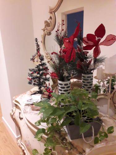 foto12