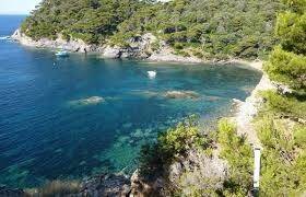 Nice holiday apartment | Garden view | Next to the beach | Pet-friendly — photo 5