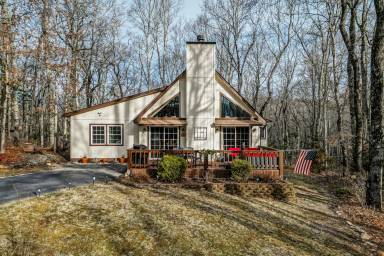 Cabin Pet-friendly Dillard