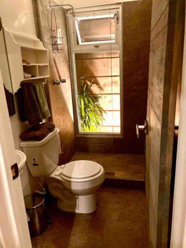 foto16