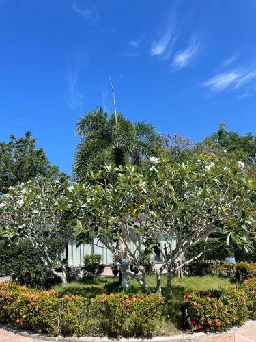 Bed and breakfast  Mai Khao