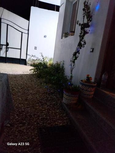 foto15