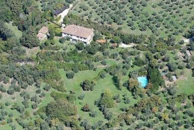 Apartment  Pratolino
