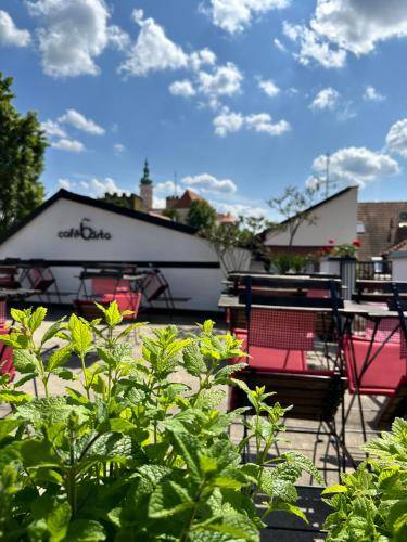 Bed & Breakfast Mikulov