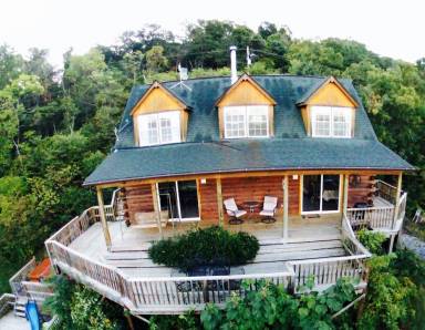 Cabin  Rileyville