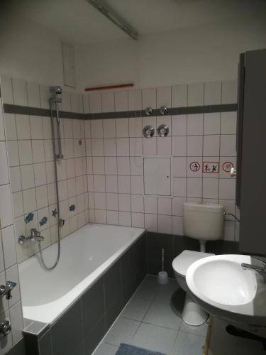foto11
