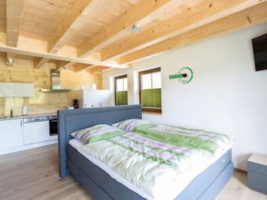 Apartment Ebingen