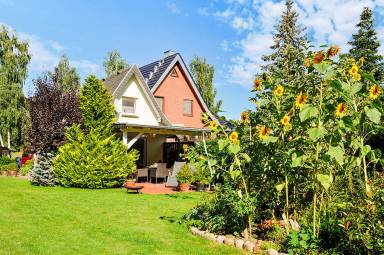 50 m² Ferienhaus