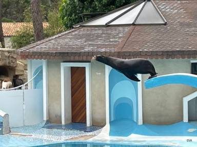 Bungalow Saint-Palais-sur-Mer