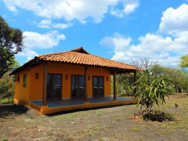 House León