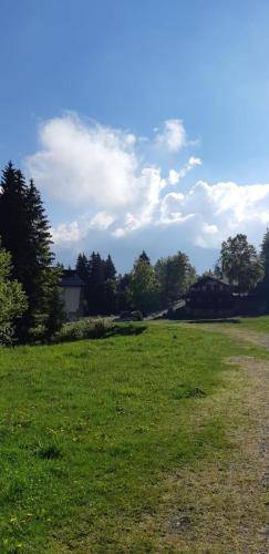 foto14