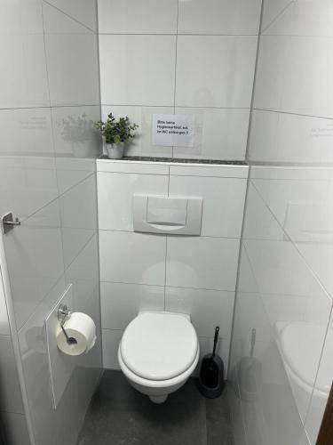 foto6