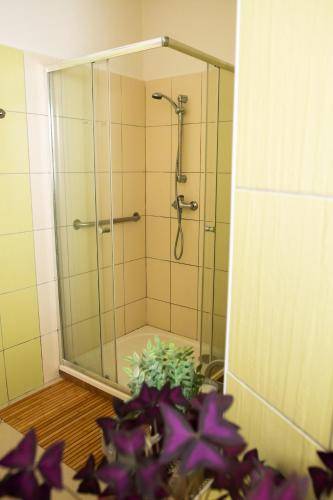 foto16