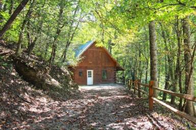 Cabin Bryson City