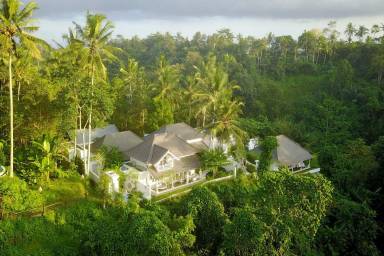 Cloud Nine Estate