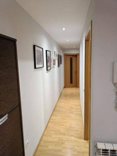 Holiday apartment with patio | Pets are welcome — photo 4