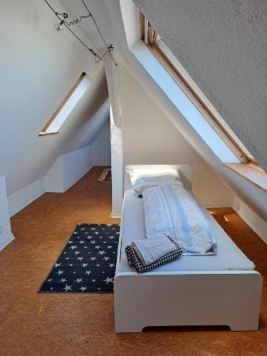 foto14