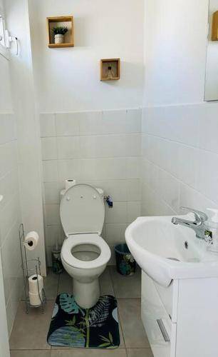 foto14