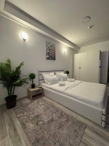 Serviced apartment  Centru