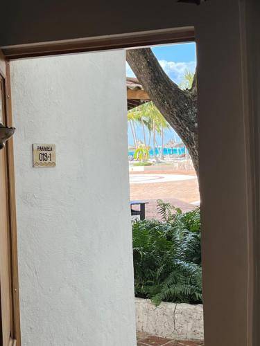 Apartamento Dominicus