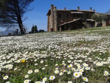 Appartamento Pitigliano