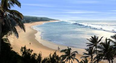 Go Wild Beach Resort