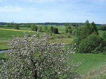 foto13