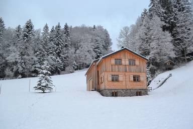 Chalet Kamin Gemeinde Mellau