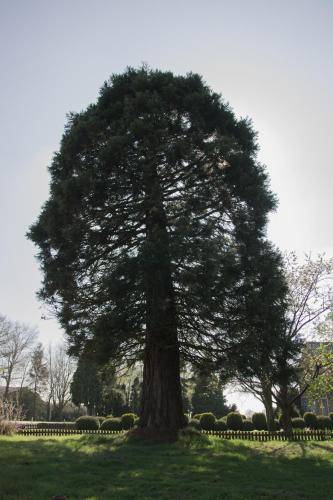 foto13