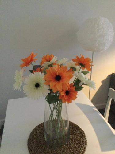 foto7