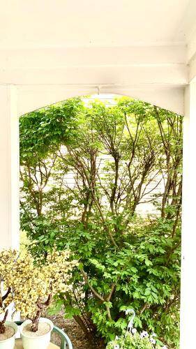 Bed and breakfast Naperville