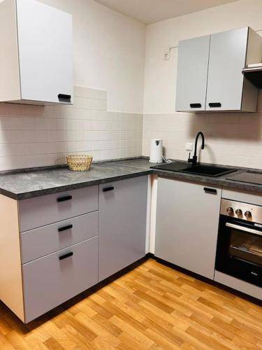 Ferienwohnung Freiberg