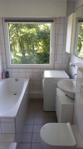foto6