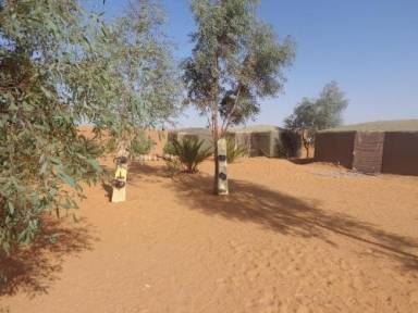Camping  Merzouga