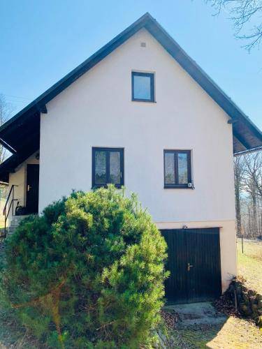 foto17