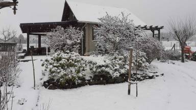 Maison de vacances Meschede