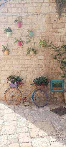 Casa Giovinazzo