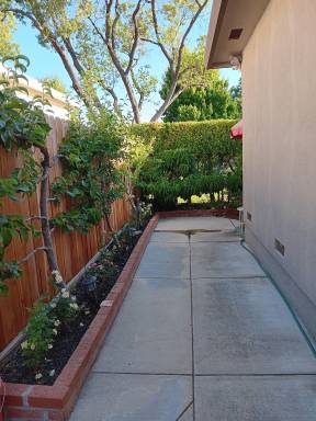 House Arden Park Vista