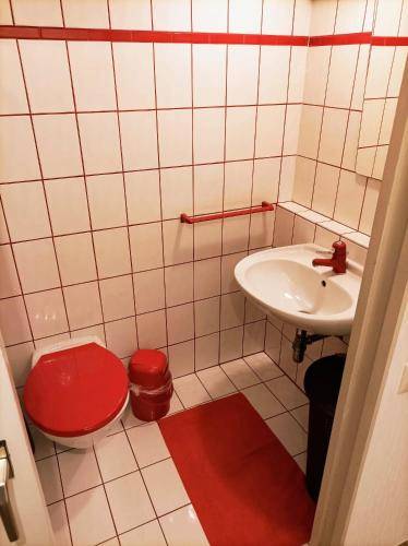 foto10