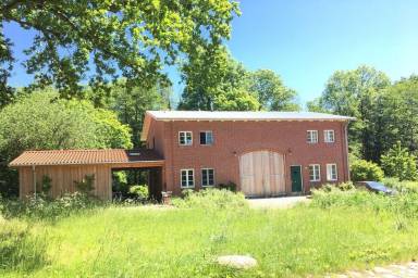Apartment Pet-friendly Hohenfelde