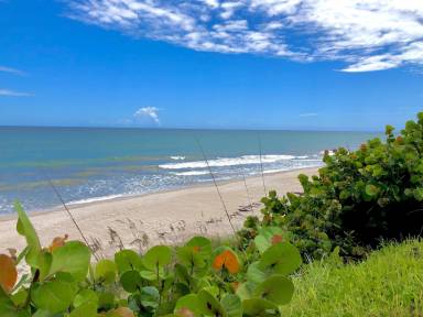 Cottage Melbourne Shores