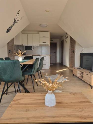 Apartament Biały Dunajec