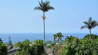 House Balcony/Patio Holualoa