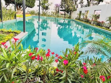 Departamento Morelos