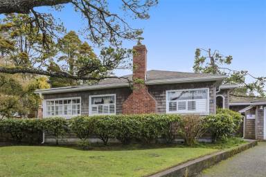 House Pet-friendly Tolovana Park