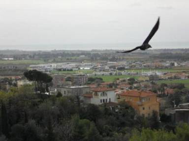 Bed and breakfast  Tarquinia