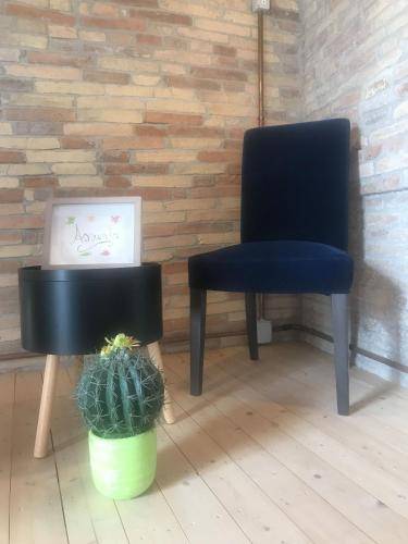 foto17