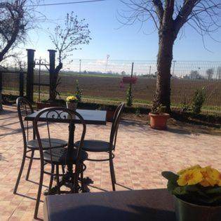 Farm with garden — photo 4