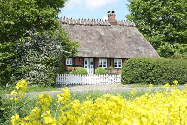 Ferienhaus Saustrup