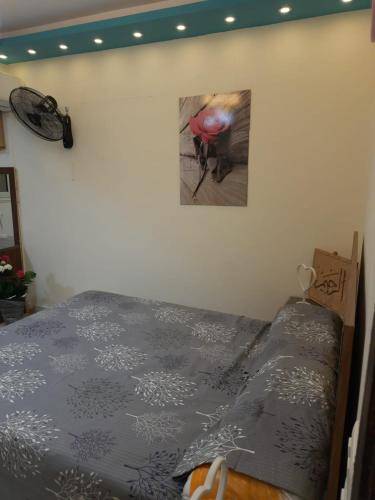 foto10